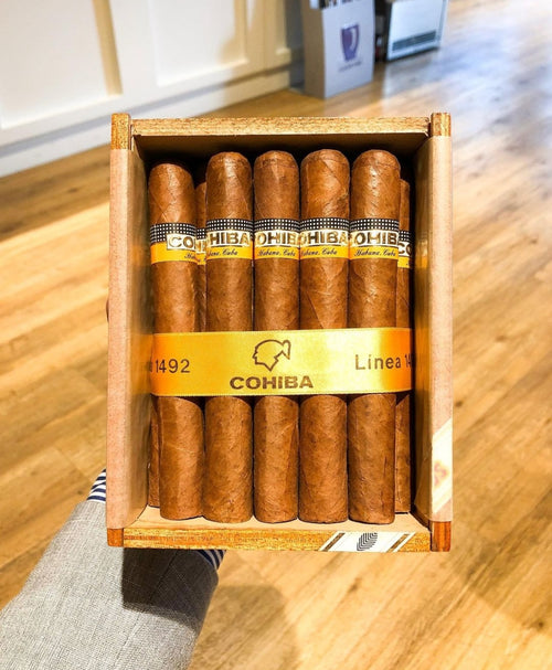 SIGLO IV Cigar from Cohiba (Single Stick)