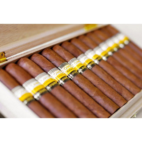 COHIBA GENIOS (BOX OF 10) - www.cigarsindia