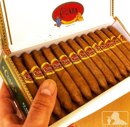 Cuaba Divinos (Single Cigar )