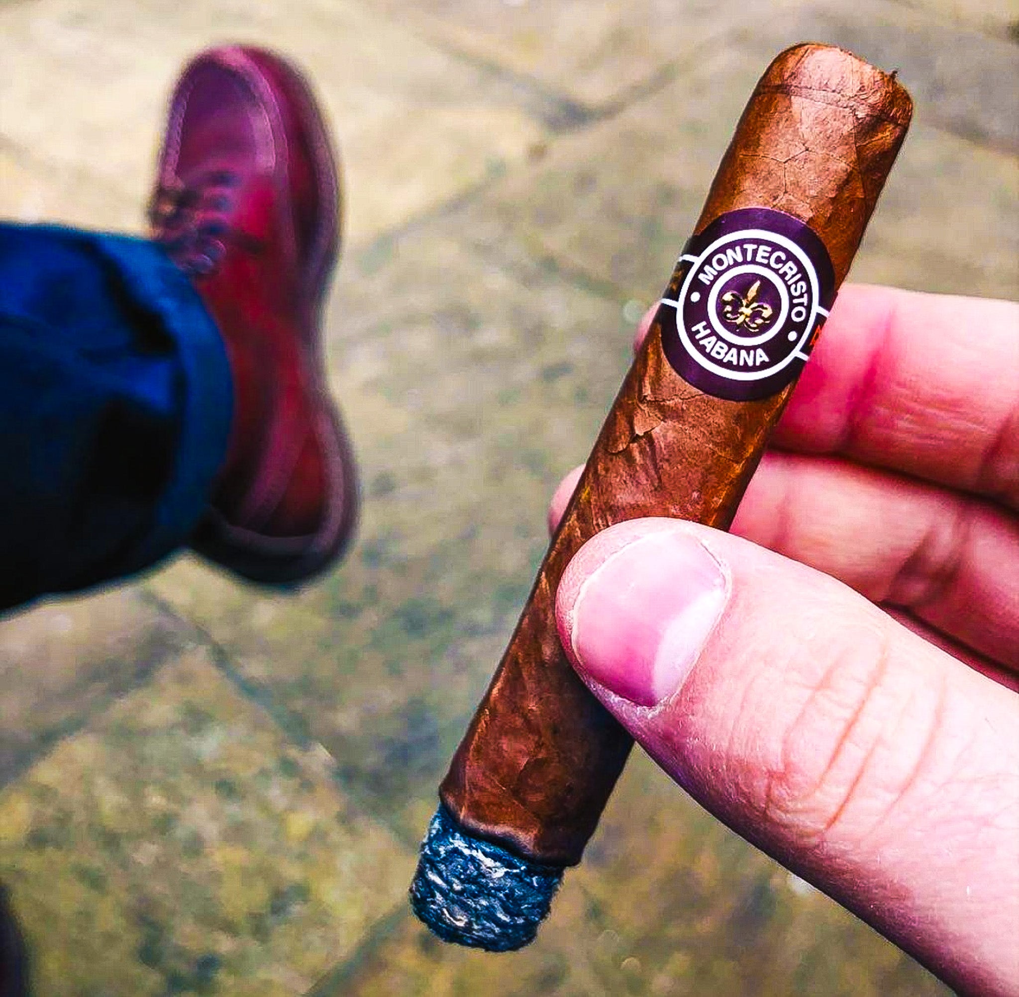 Montecristo No. 5 (Single Cigar) - www.cigarsindia.in