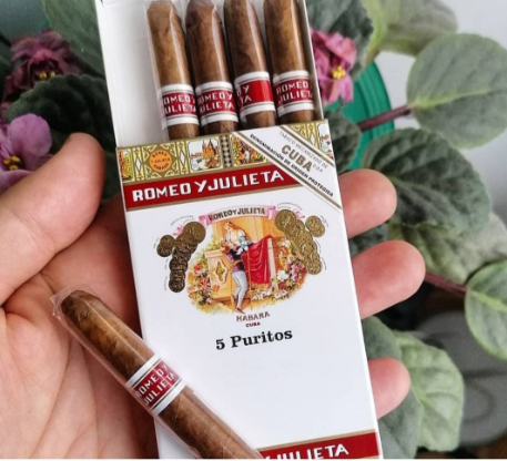 Romeo y Julieta Puritos (Pack of 5)