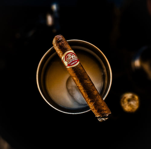 Partagas Shorts (Single Stick)