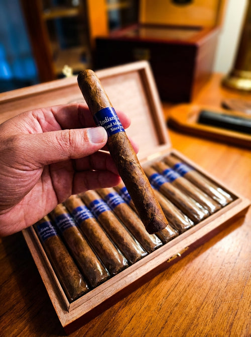 Indian Gentleman Corona Extra (Single Cigar)