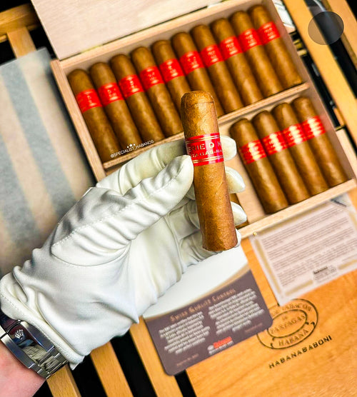 Partagas Serie D No 6 (Single Cigar)