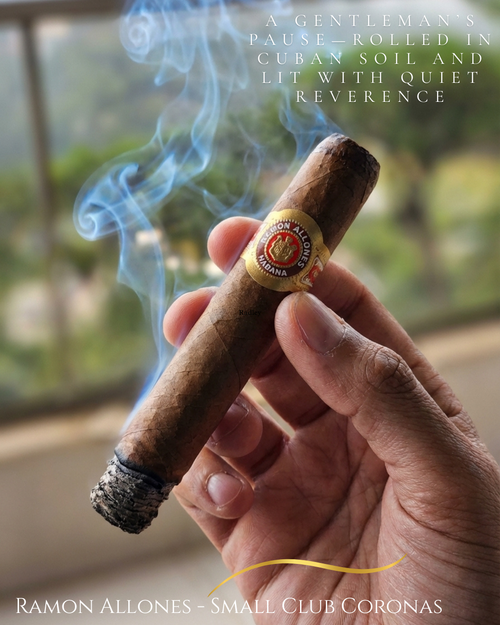 Ramon Allones - Small Club Coronas (Single Cigar)