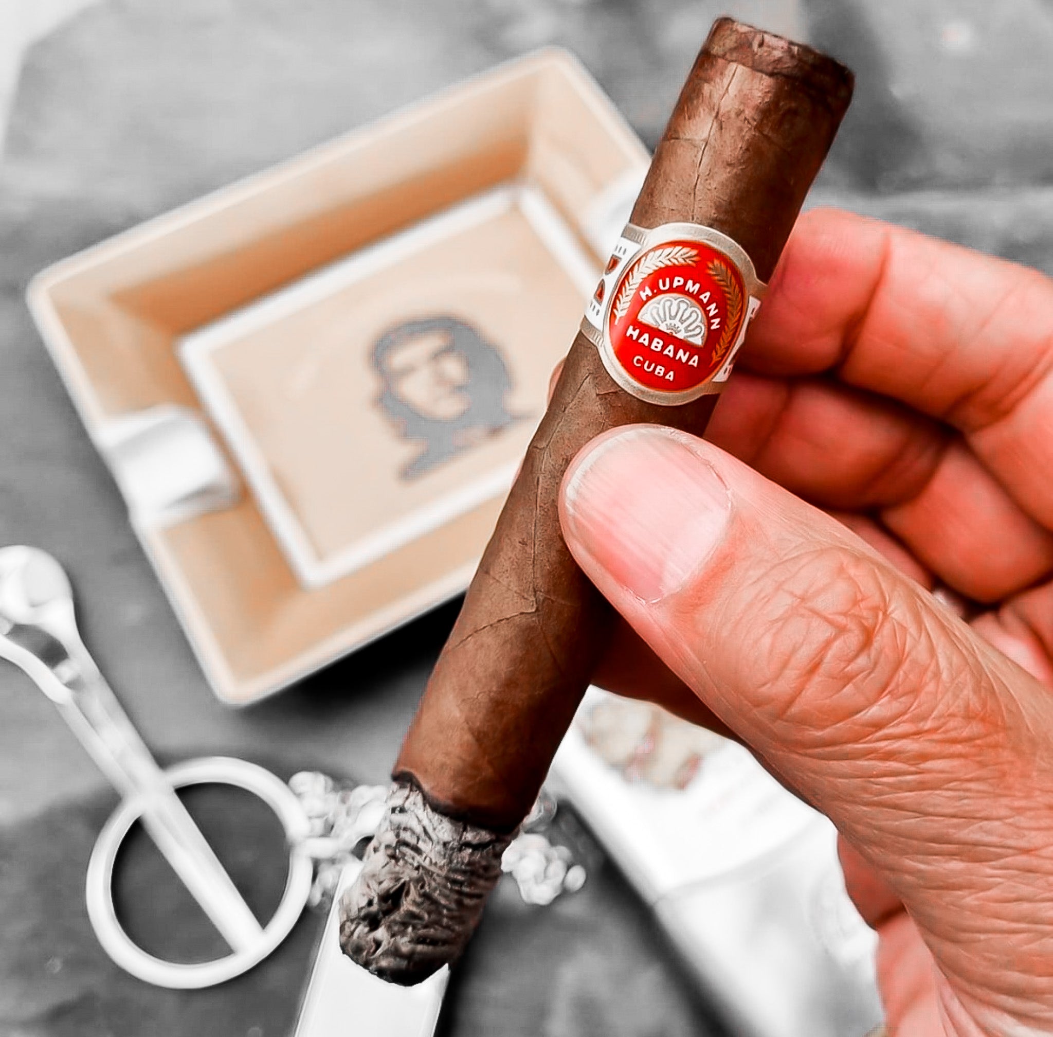 H.Upmann Regalias (Single Cigar) www.cigarsindia.in