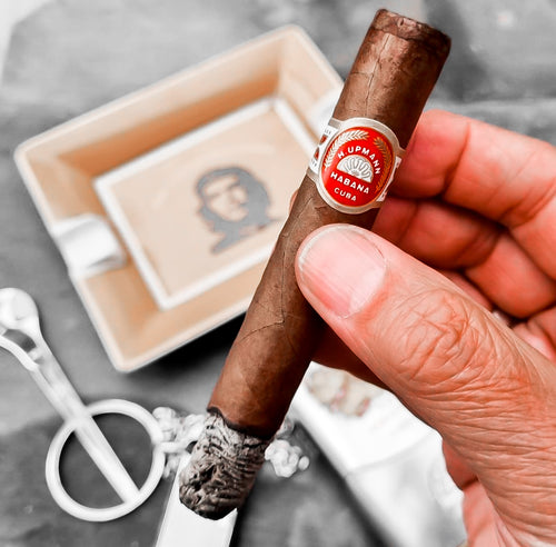 H.Upmann Regalias (Single Cigar)