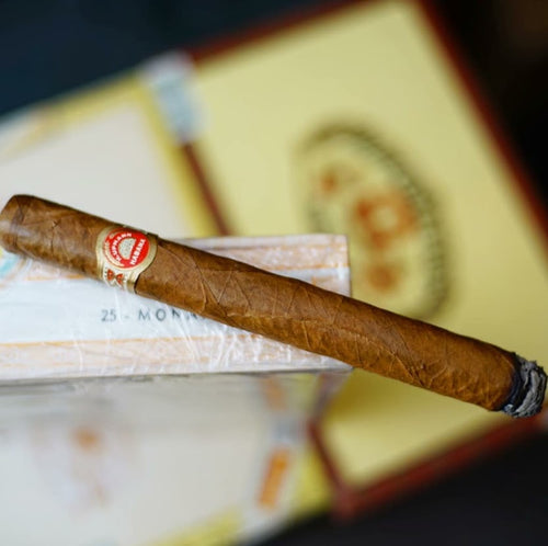 H. Upmann Monarcas (Single Cigar) - www.cigarsindia