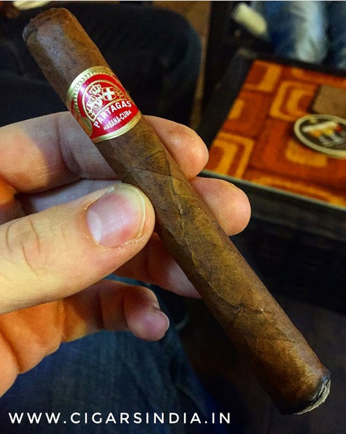 Partagas Aristocrats (Single Cigar) - www.cigarsindia