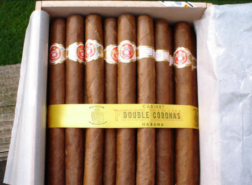 Punch - Double Coronas (Box of 25) - www.cigarsindia