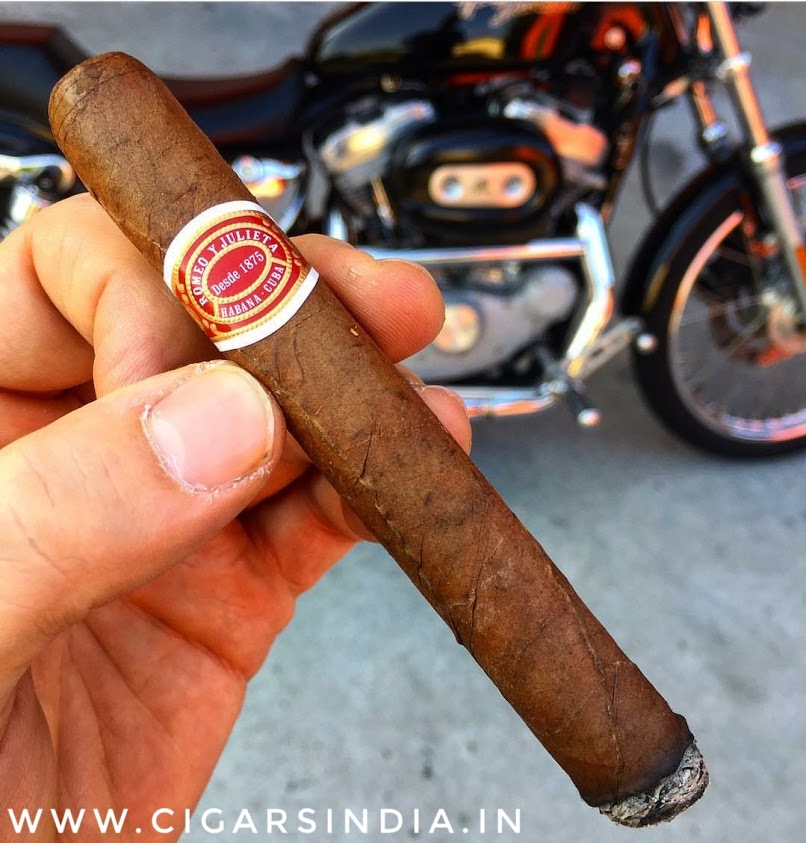 Cigars for Beginners